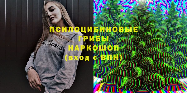 хмурый Вяземский